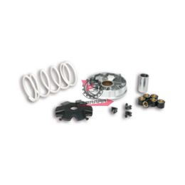 VARIATORE MALAGUTI DVD 50 4T MALOSSI