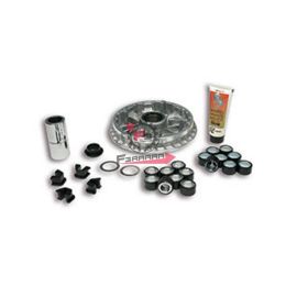 453.5114148 VARIATORE YAMAHA MAJESTY 400 09>