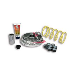 453.5114258 VARIATORE BURGMAN 400 >07 MALOSSI