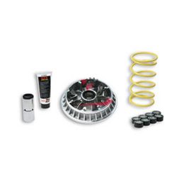 453.5114263 VARIATORE BURGMAN 400 K7-K9 MALOSSI