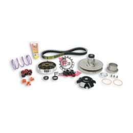 453.6111441 OVER RANGE PIAGGIO ZIP SP01 MALOSSI