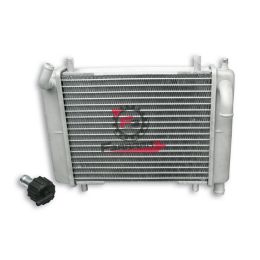 RADIATORE ZIP SP 00 MHR MALOSSI