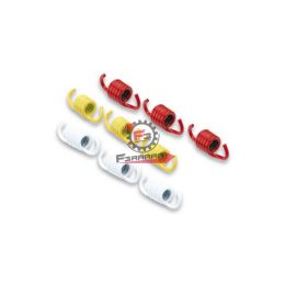 453.2911325 MOLLE FRIZIONE MAJESTY (SR)