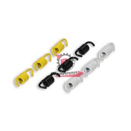 MOLLE FRIZIONE CP1 (SR) MALOSSI