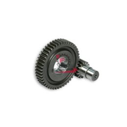 453.6712144 RAPPORTI SECONDARI FORZATI 15/47