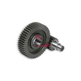 453.6712194 RAPPORTI SECONDARI 17/49 PIAGGIO