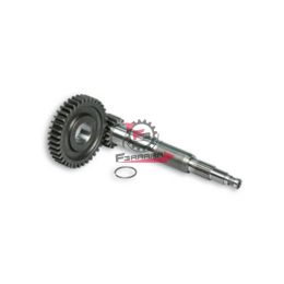 453.6713339 RAPPORTI PRIMARI 15/38 FORZATI