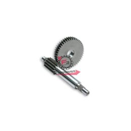 453.6714039 RAPPORTI PRIMARI 13/44 YAMAHA