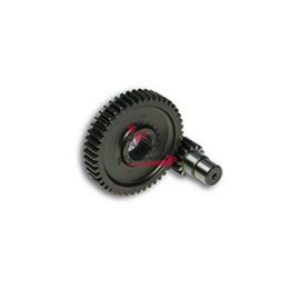 453.678939 RAPPORTI SECONDARI 14/48 C17 ZIP