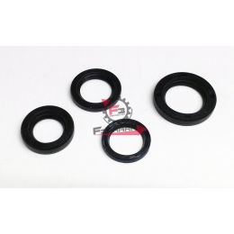 455.10867 PARAOLI MOTORE SI SENZA VARIAT. (SR)