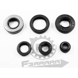 PARAOLI MOTORE MINARELLI AM6 (SR)