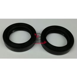 ARI004 PARAOLI FORCELLA 33.46.10,5 TC4 (SR)