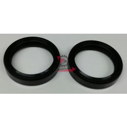 PARAOLI FORCELLA 43.54.11 TC4 (SR)