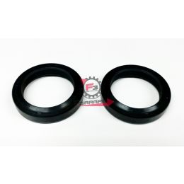 455.ARI080 PARAOLI FORCELLA 30.40.7/8 (SR)