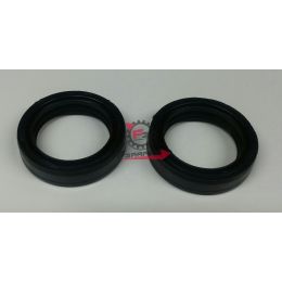 PARAOLI FORCELLA 33.45.11 (SR)