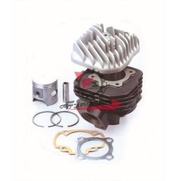 456.9908660 KIT CILINDRO PEUGEOT BUXI ARIA D47