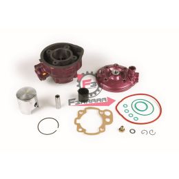 456.9919240 KIT CILINDRO D49,5 MINARELLI AM/6 02