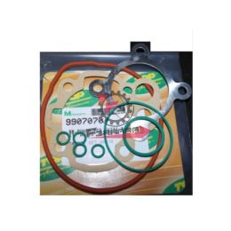 456.9907070 GUARNIZIONI CILINDRO AM 345 (SR)