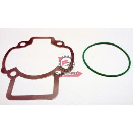 456.9914290 GUARNIZIONI PIAGGIO D 47,6