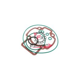 456.9920660 GUARNIZIONI PIAGGIO 47,6 H2O RACING