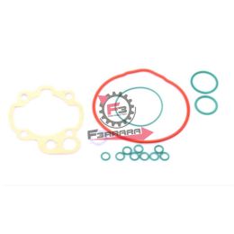 9921320 GUARNIZIONI TESTA 49,5 AM6 (SR)