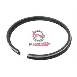 456.9906840 SEGMENTI MINARELLI AM 345 D 49 (SR)