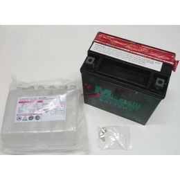 456.0012390 BATTERIA YTX14-BS CON ACIDO MINARELL