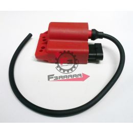 456.9926150 CENTRALINA ANTICIPO VARIABILE