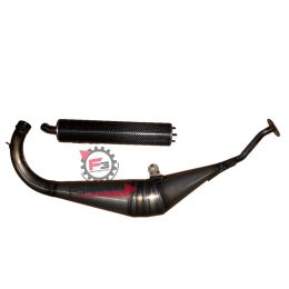 456.9920230 MARMITTA APRILIA RS 50 CARBURATORE