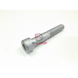 VITE A TESTA CILINDR.ESAGON.