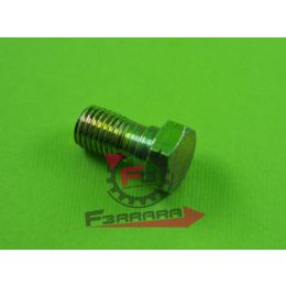 655.127863 VITE TUBO FLESSIBILE APE MP 601