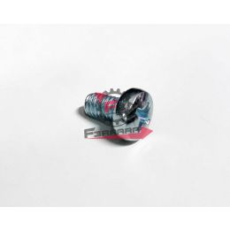 VITE COPERCHIO MOTORE APE