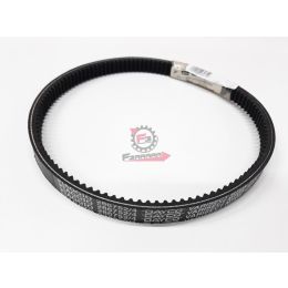 CINGHIA VESPA FL2 AUTOMATICA