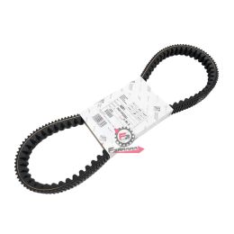 655.842011 CINGHIA PIAGGIO BEVERLY 200 2T