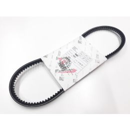 CINGHIA ALTERNATORE PORTER DIESEL