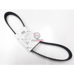 493070 CINGHIA DISTRIBUZIONE QUARGO PORTER