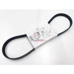 655.B010235 CINGHIA POMPA ACQUA PORTER MULTITECH