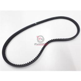 CINGHIA TRAPEZOIDALE PORTER