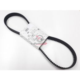 655.L2440402 CINGHIA DISTRIBUZIONE TM 703 DIESEL