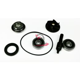 457.403460735 KIT POMPA H2O PIAGGIO 250 06