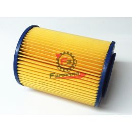 FILTRO ARIA PORTER 1000 BENZ. PICKUP