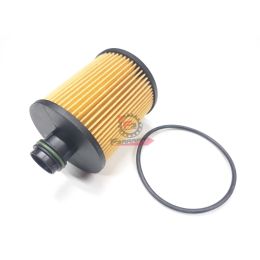 655.B011392 CARTUCCIA FILTRO OLIO PORTER 1200 D.