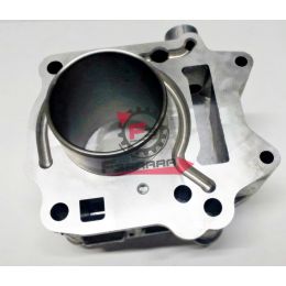 AP0613396 CILINDRO COMPLETO SCARABEO/LEONARDO