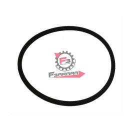 655.504305 GUARNIZIONE TERMOSTATO SCARABEO
