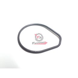 GUARNIZIONE APRILIA MANA