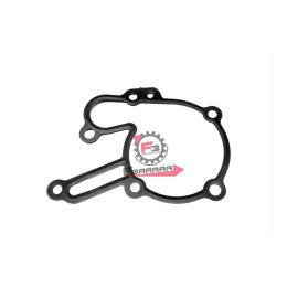 GUARNIZIONE POMPA H2O PORTER