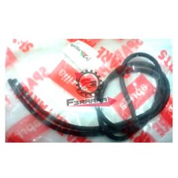 GUARNIZIONE 3,5 SCARABEO DITECH