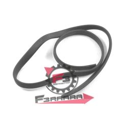 GUARNIZIONE FANALE POSTERIORE TM 703