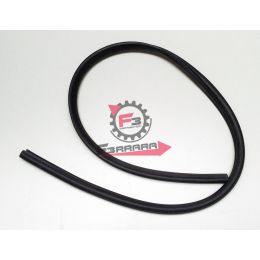 655.232679 GUARNIZIONE LUNOTTO APE TM 50