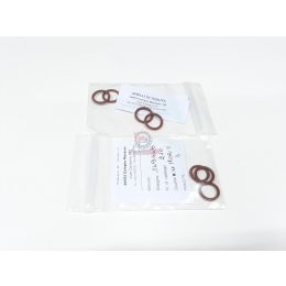 655.245500 GUARNIZIONI TUBI OLIO DIESEL (SR)
